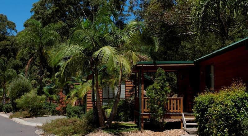 The Palms At Avoca Hotel Avoca Beach Buitenkant foto